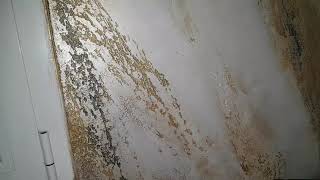 Pietra Spaccata By Stilly