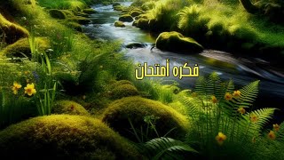 حل امتحان محافظة المنيا جبر (أختر).. تالته اعدادى ترم ثاني.. فكرة امتحان 186