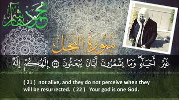 الشيخ محمود هاشم - سورة النحل من الآية 1 إلى الآية 29