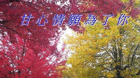 甘心情願為了你   ❤ 訴說內心話   ❤