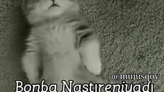 Sounds App screenshot 5