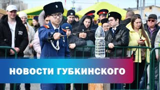 Региональный детский фестиваль казачьей культуры прошёл в Губкинском