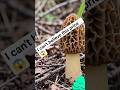 "Why Gucchi Mushrooms Are So Expensive 🍄"#shorts #ai #usa #america #newyork #usatrending #usatoday
