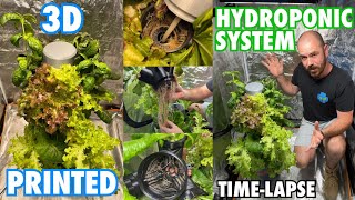 3D Printed Hydroponic System Setup & Time-Lapse Grow