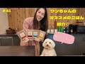 #41 ワンちゃんのオススメごはんを紹介♡ ／ introducing my favorite dog food!