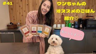 41 ワンちゃんのオススメごはんを紹介♡ ／ introducing my favorite 