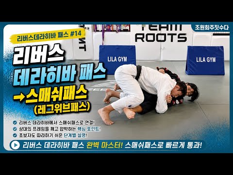 리버스데라히바 스매쉬패스(레그위브패스) | 조원희 주짓수업