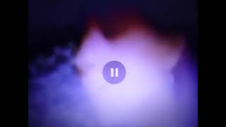 P1050731