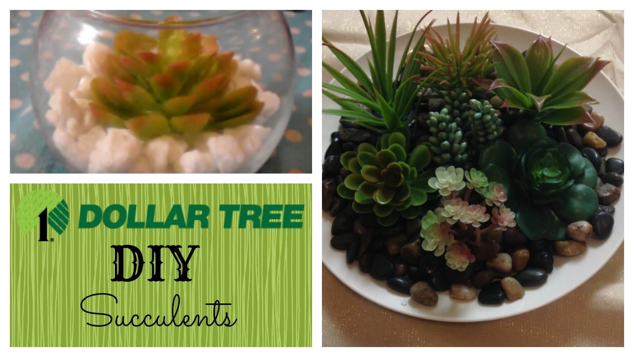 DIY Succulents| Dollar Tree Crafts | Home Decor - YouTube