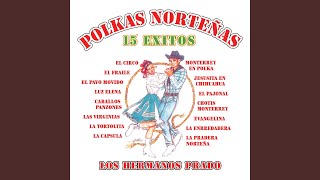 Video thumbnail of "Los Hermanos Prado - El Circo"