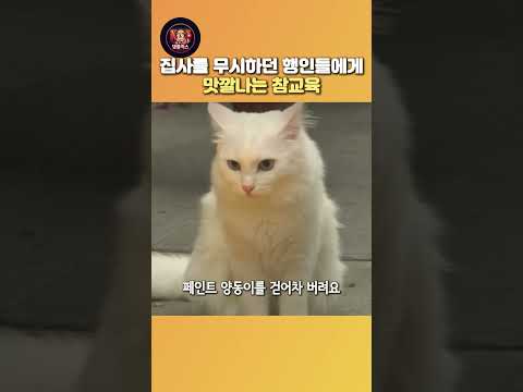 집사를 무시하던 행인들에게맛깔나는 참교육 thumbnail