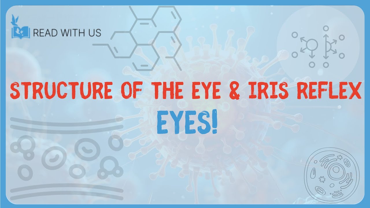 5.4 - Eyes 1 - Structure of the Eye & Iris Reflex