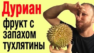 Дуриан фрукт с запахом тухлятины