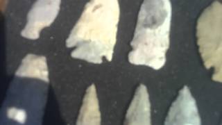 arrowhead auction Part 1