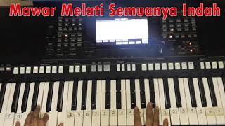 LIHAT KEBUNKU - karaoke keyboard -