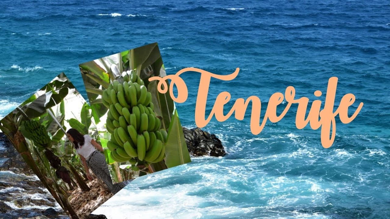 Tenerife Bananas plantation, Costa del Silencio & Playa de las Vistas