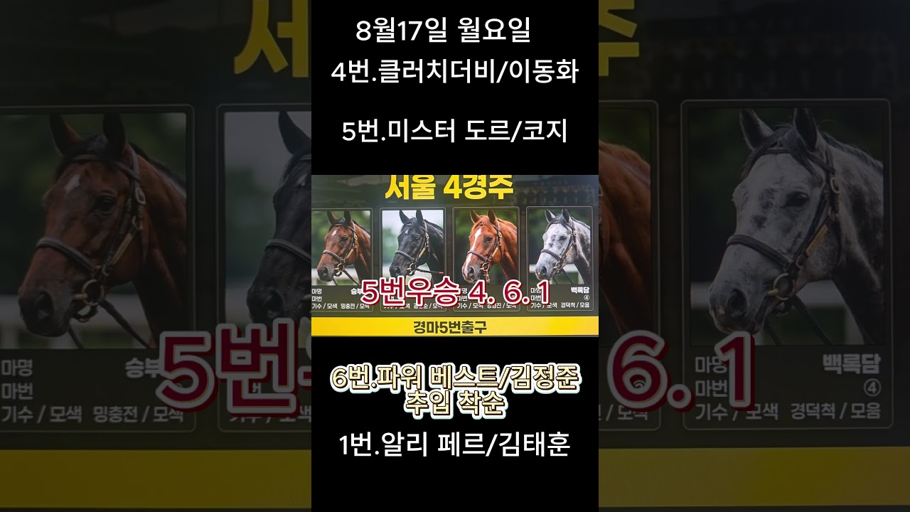 8월17일 서울 4경주#경마예상#기수#조교사#철저한분석