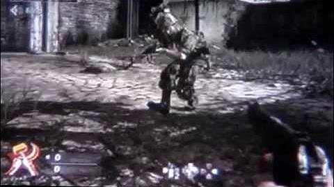 COD5 - Dummy Glitch (asylum)