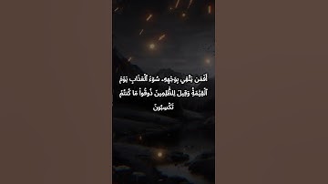 تلاوة مميزة لآيات من سورة الزمر من 23 - 26