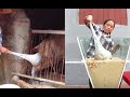 Bà Tân Vlog dùng 1 chiếc muôi, vừa cho lợn ăn, vừa nấu những món siêu" khổng lồ" – Sáng Tạo Vlog