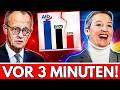 CDU AM ENDE? Merz verliert die Nerven – nach der Umfrage wächst die AfD-Welle!
