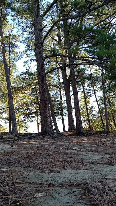 Lake Lanier: Van Pugh South