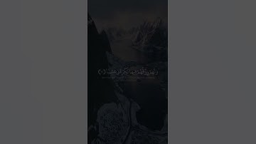 اجمل حالات واتس اب بصوت سعيد الخطيب | تلاوة خاشعة ورائعة 🤍🤍