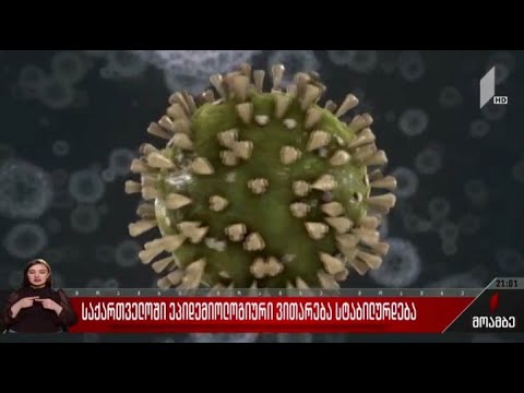 საქართველოში ეპიდემიოლოგიური ვითარება სტაბილურდება