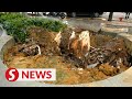 Fallen tree debris cleared from Jalan Sultan Ismail