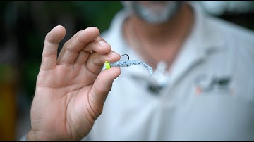 Ned Rig / Fry Bait Fishing Tip