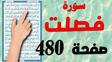 سورة فصلت صفحة 480