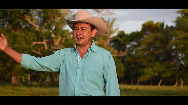EL POTRON ARIPOREO - Nelson Silva (VIDEO OFICIAL)