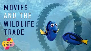 Movies and the Wildlife Trade