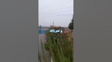 و أفوض امري الى الله، #quran #تلاوة_مميزة #تلاوة_خاشعة #تلاوة_هادئة__سورة_البقرة #القرآن_الكريم