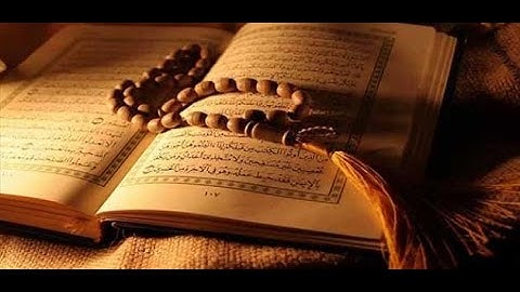 سورة عبس بصوت القارئ نبيل الرفاعي