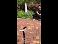 飞牌 #老铁有绝活