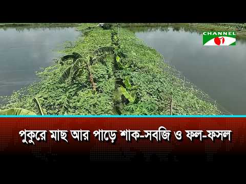 পুকুরে মাছ আর পাড়ে শাক-সবজি ও ফল-ফসল