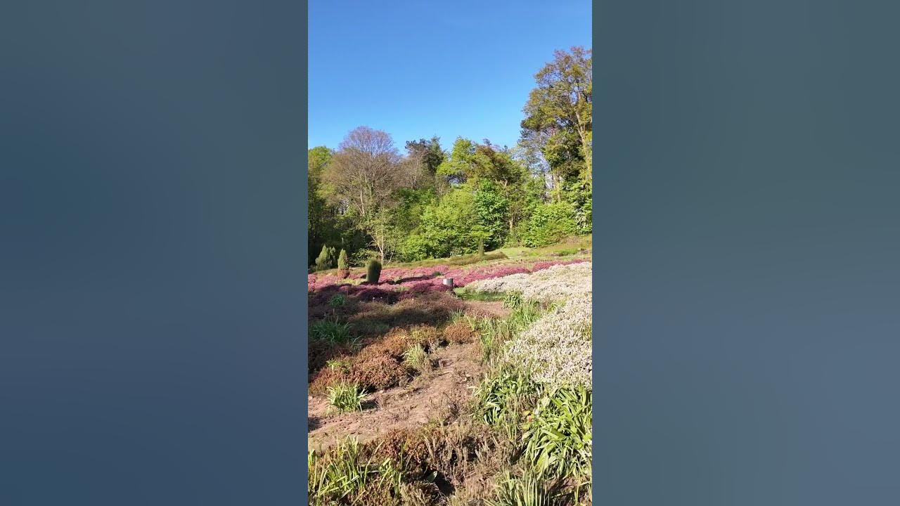 37+ Deutsch Französischer Garten Tal Der Blumen, Zwischen