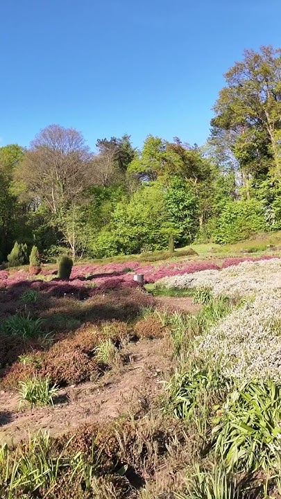 Tal der Blumen 🌷 DeutschFranzösischer Garten Saarbrücken walkthrough