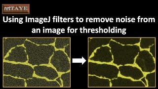 Using ImageJ FILTERS to remove NOISE from an image for thresholding screenshot 4