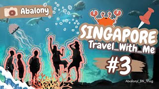 Singapore Travel With Abalony Bào Ngư - DAY 3: The Zoo