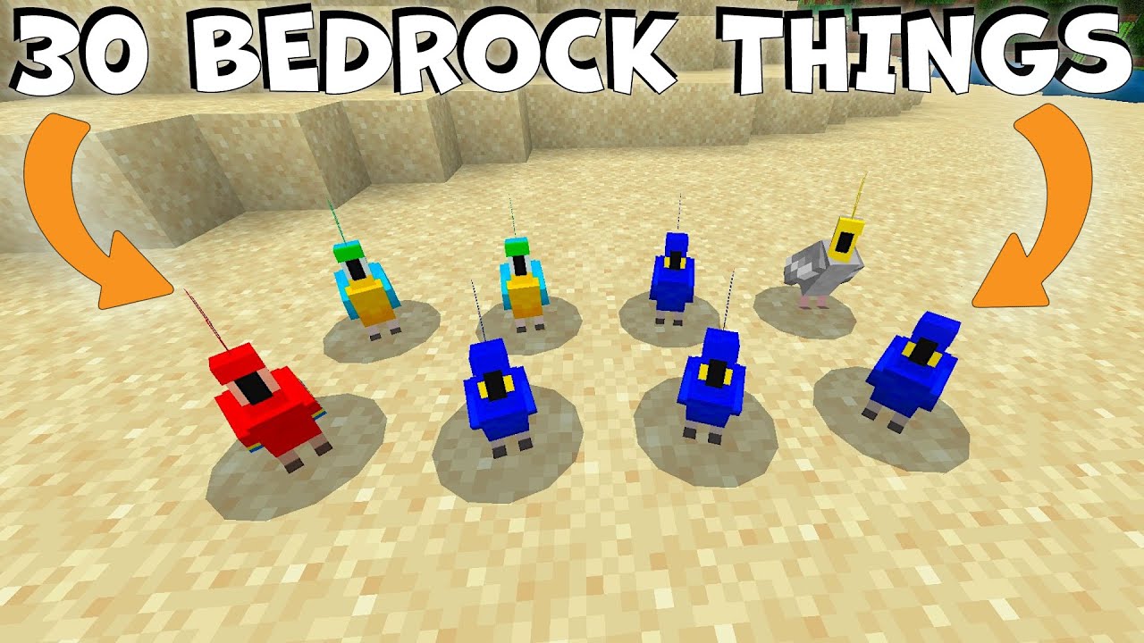 30 Minecraft Bedrock Secrets Java Players Don't Know!