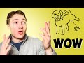 Pee Coin Review - Proving a point in the Meme Coin Community!