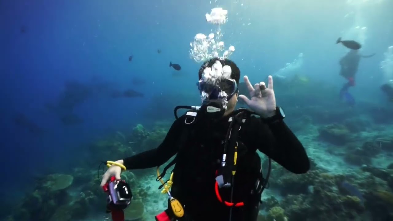 Dive Rig Diving Sipadan with Seaventures Dive Rig, Malaysia 2022 - YouTube