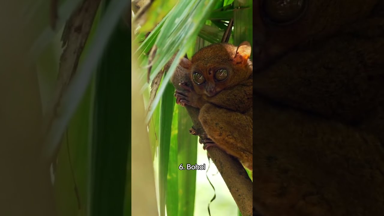 "This Travel Spot Feels Like a Dream 