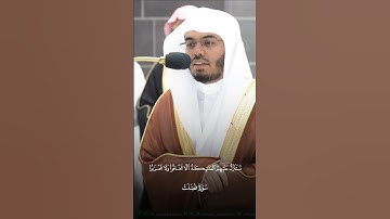 سورة فصلت الشيخ ياسر الدوسري 🤎