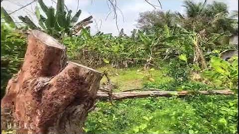 2 lô 6x54 = 324m2 ( t/c 150m2) giá 1.2 triệu/m2 kcn Tân Hương, Tiền Giang Giá rẻ, Cách ql1A 800m.