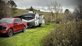 Medicine Bow Dispersed Camping | 360 Video