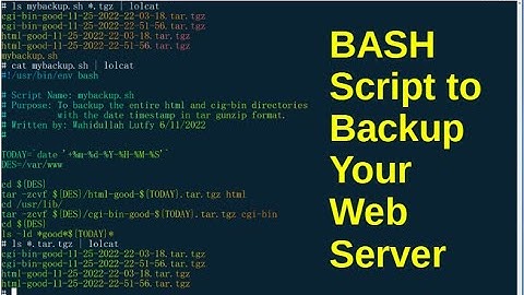 BASH Script 