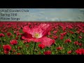 Benjamin Britten - Five Flower Songs